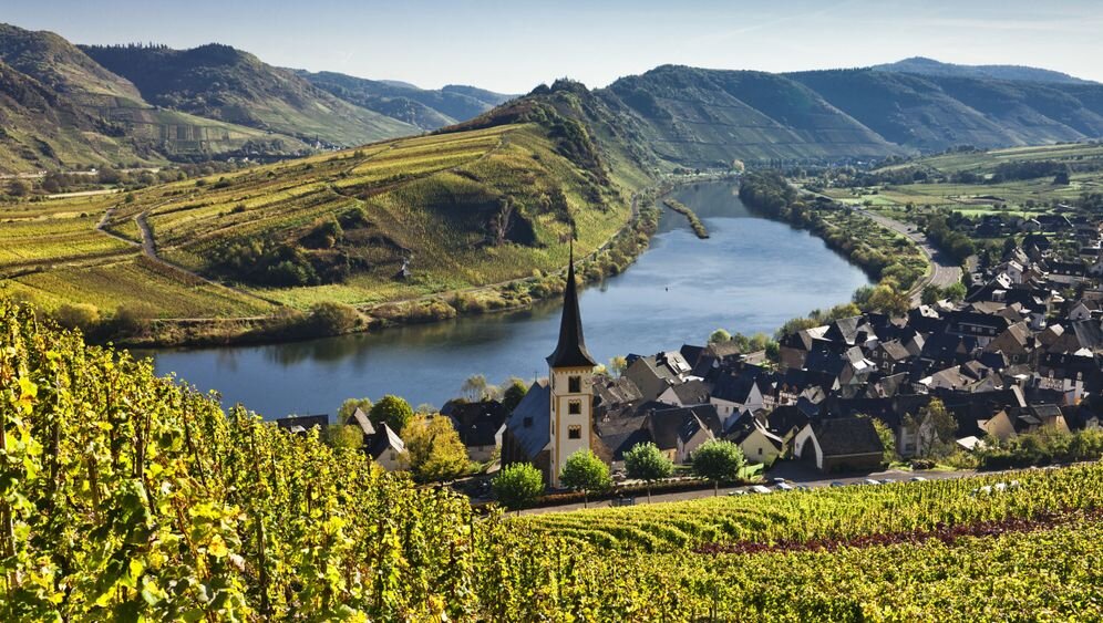 Виноградники Германии