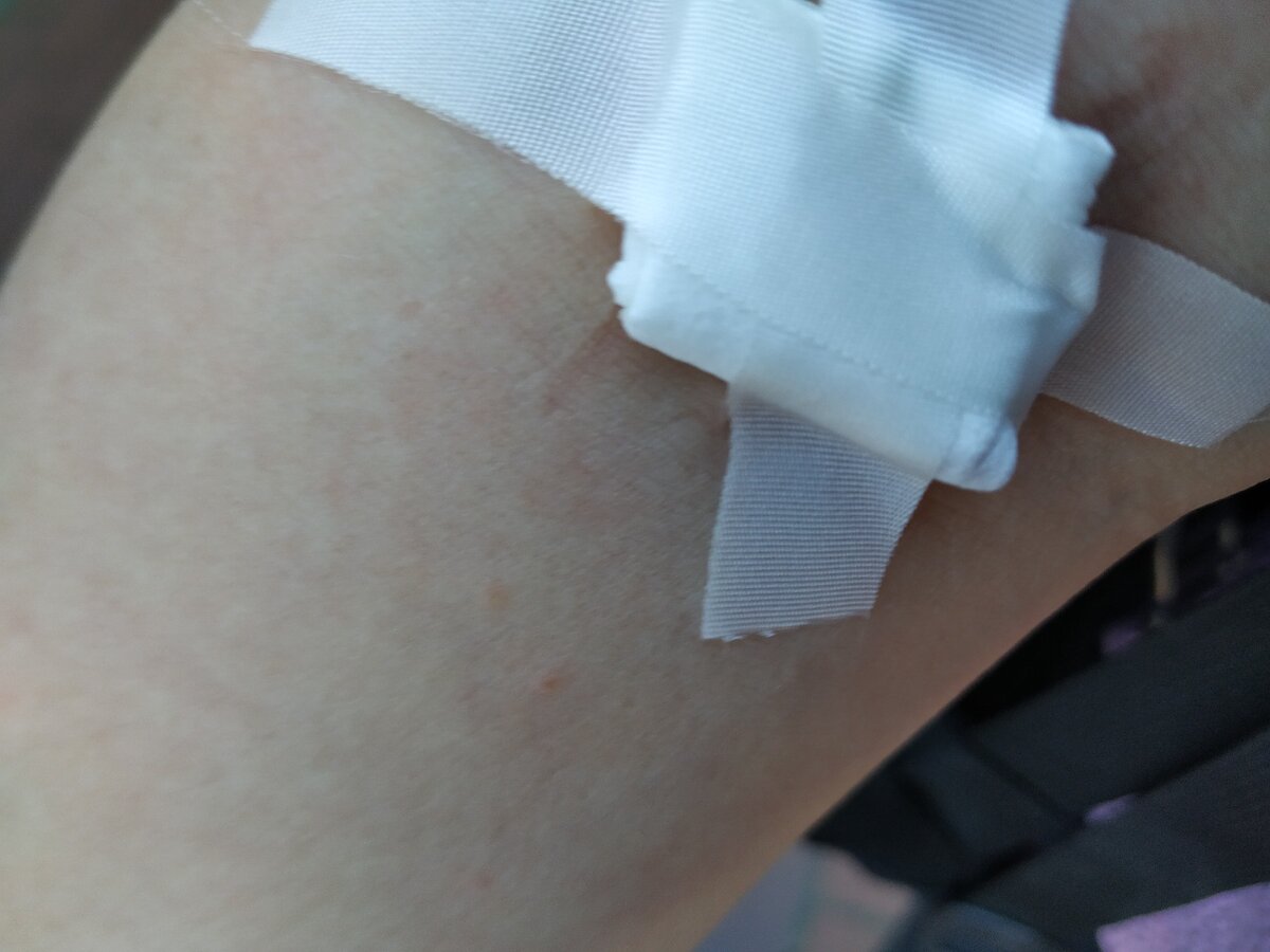 Вену долго искали...