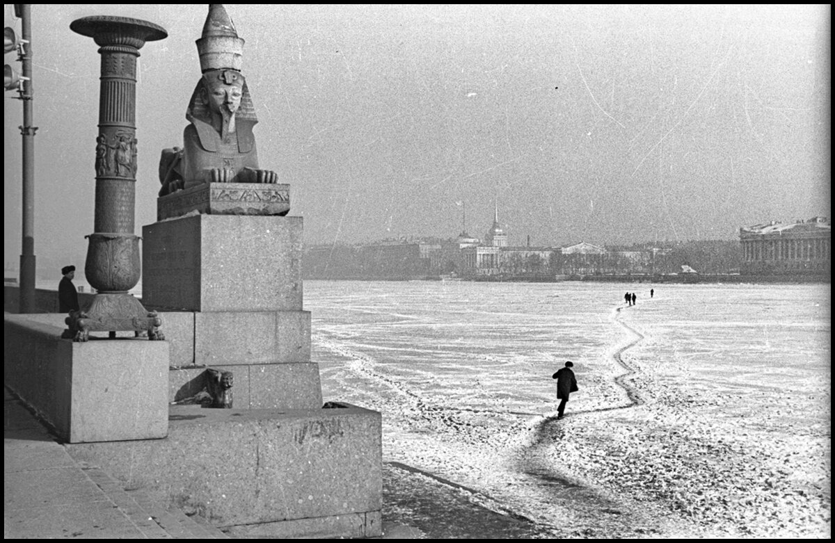 Ленинград 1950 е годы