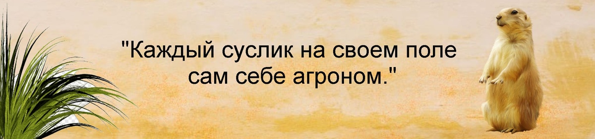 Поддержите статью своим лайком! Это поможет развитию канала. Заранее благодарю!
