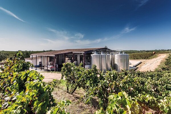 Винодельня Casa Relvas//фото с сайта//https://www.pinterest.ru