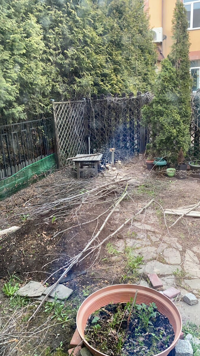 Немного дров запасли