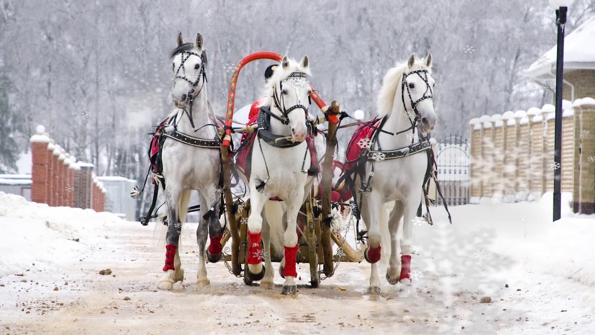 изображение взято из открытых источников