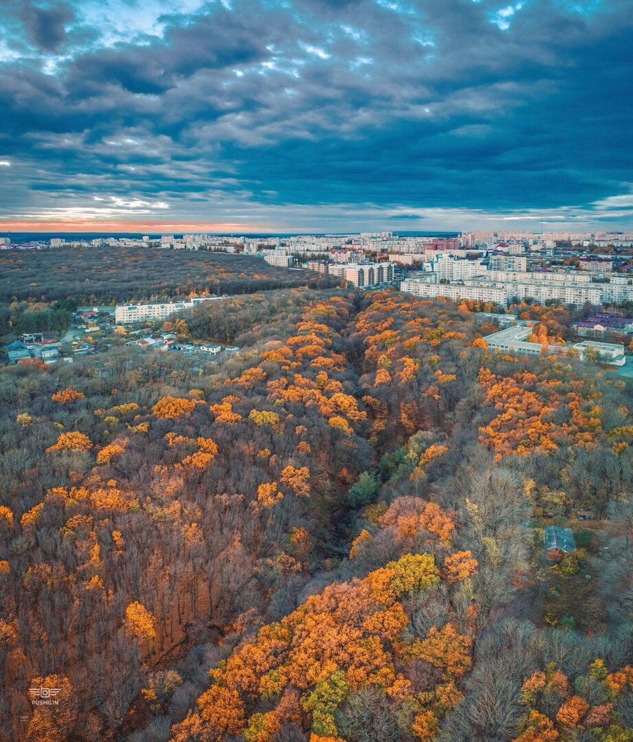 Записки городского сумасшедшего который хочет заговорить с тобой в маршрутке