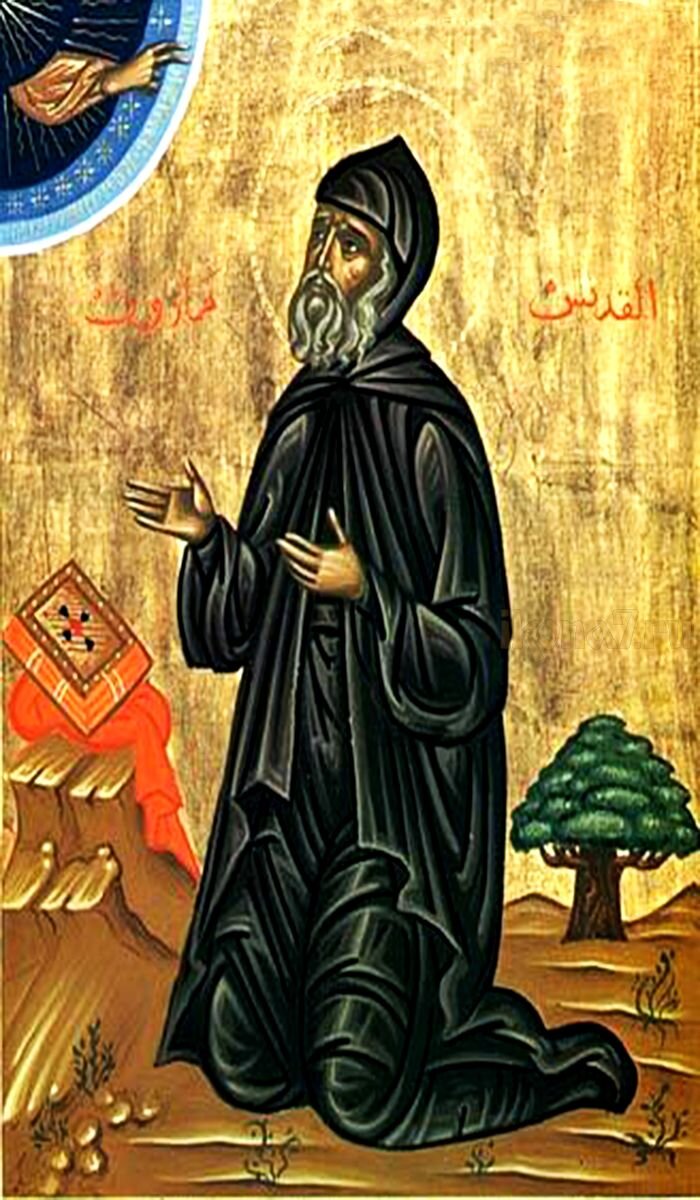 Фото взято из открытых источников интернета.