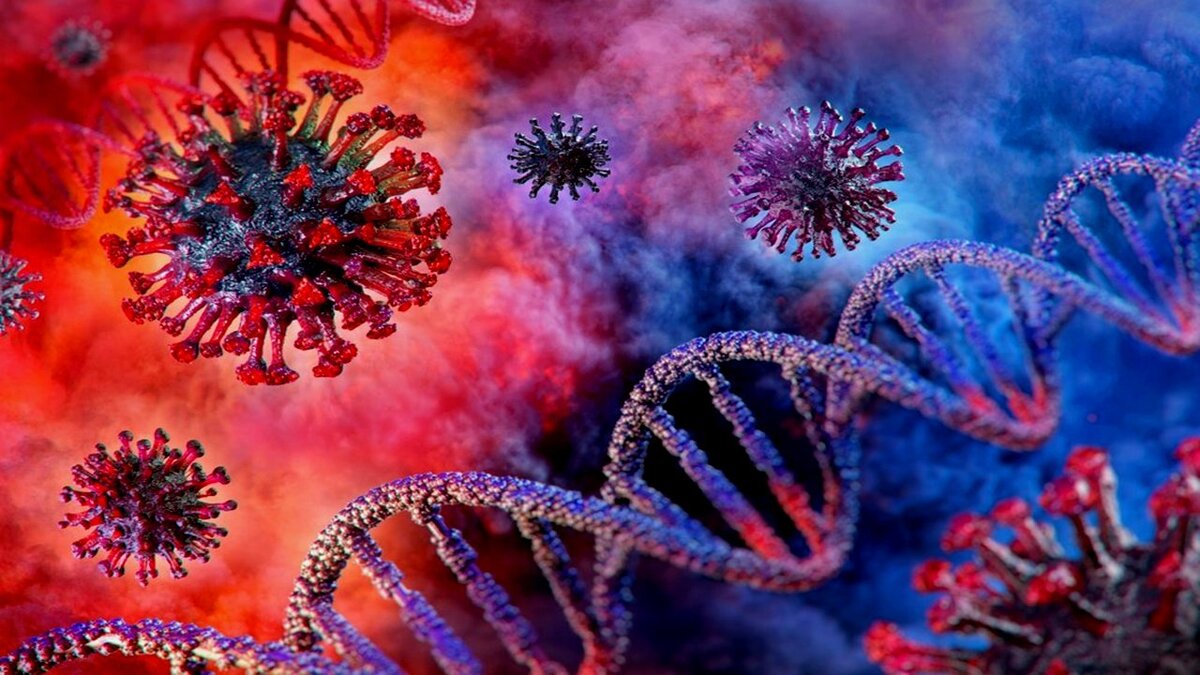 фото из сети