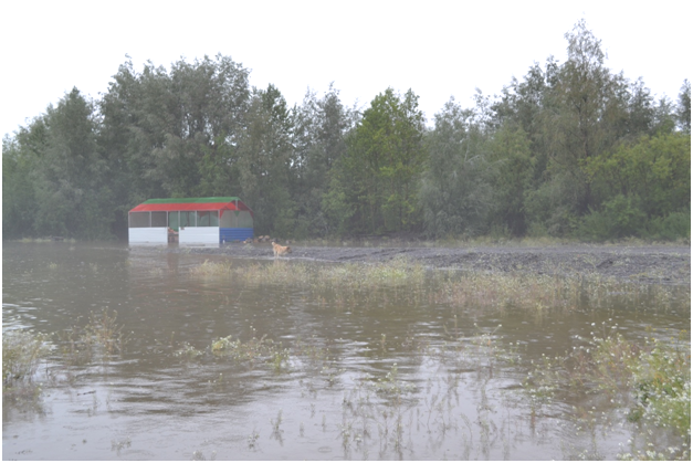 Причал уходит под воду