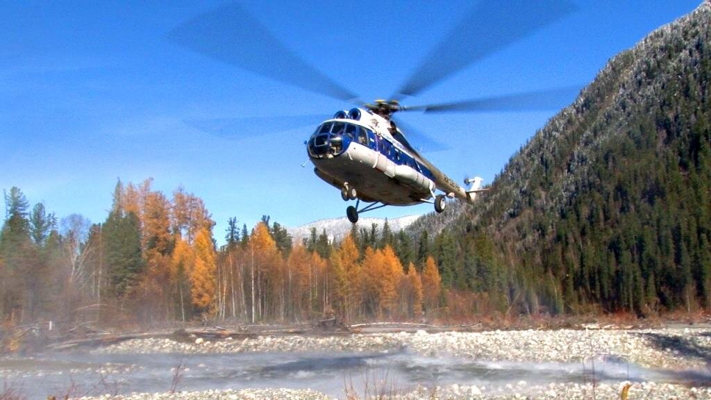 Фото из открытых источников