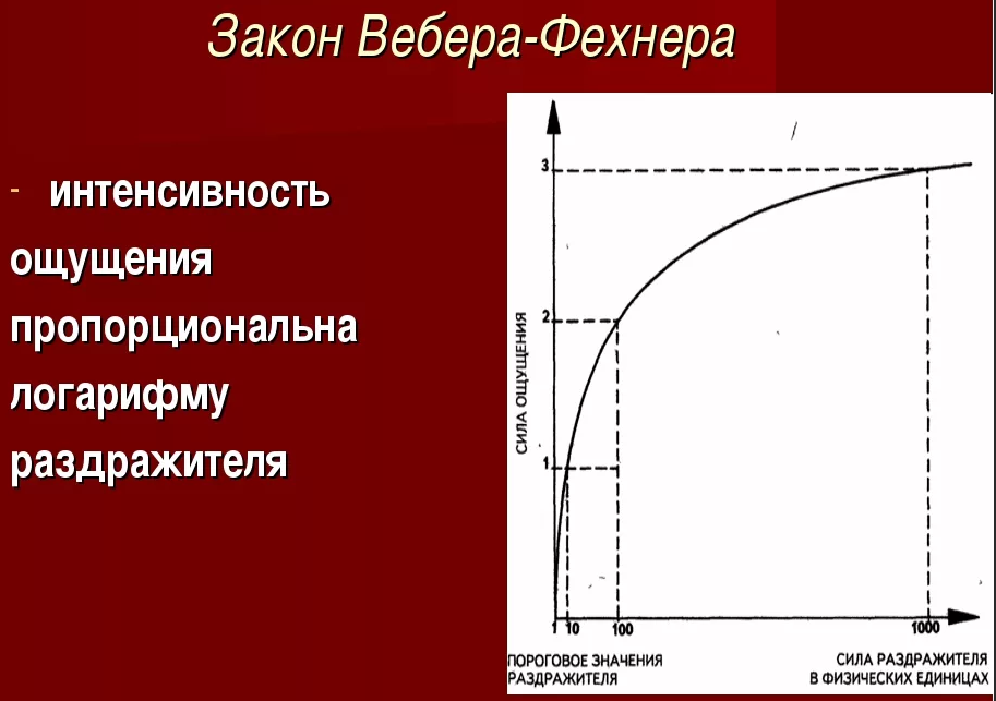 Закон Вебера - Фехнера.