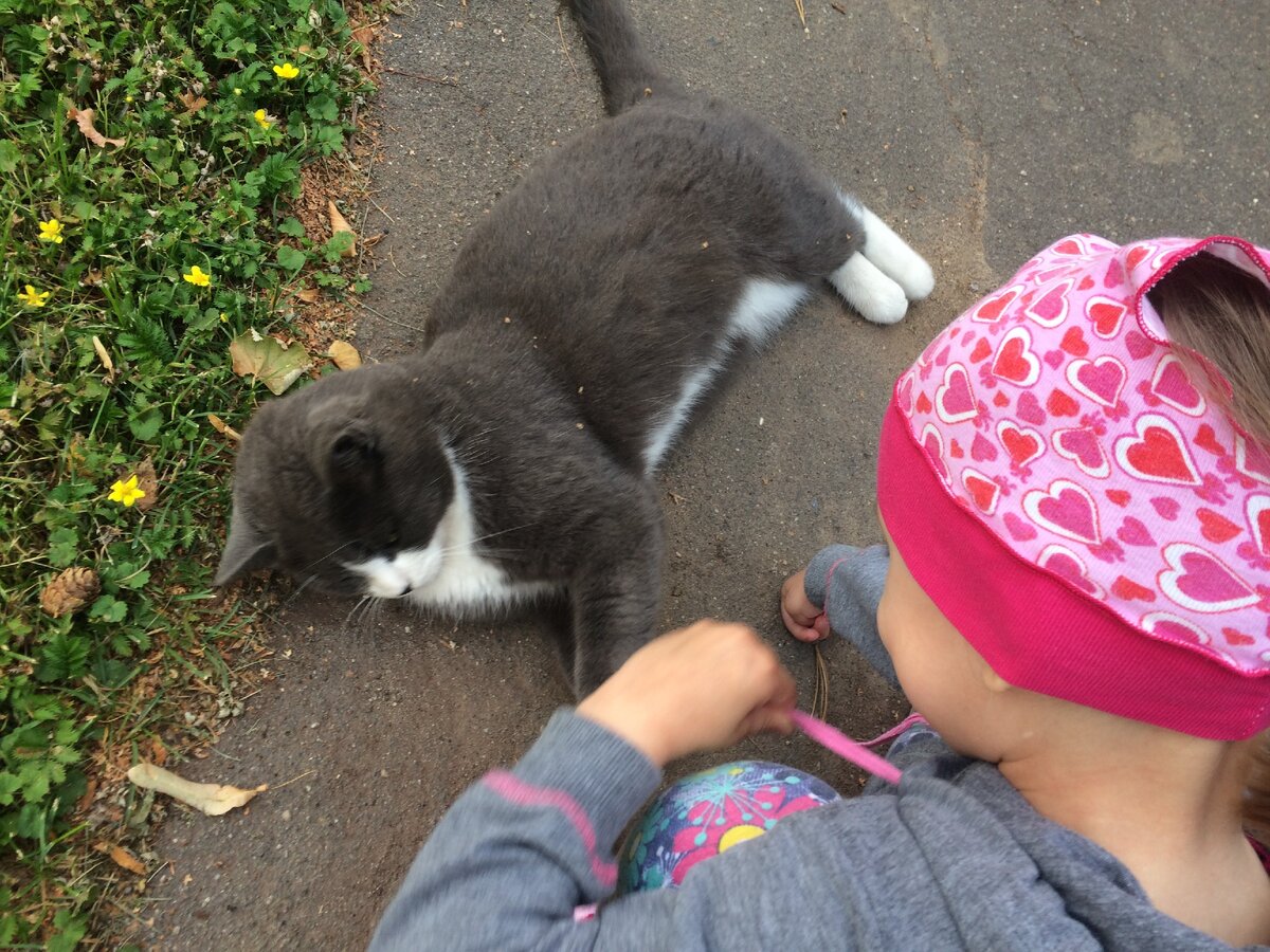 Красивый обитатель монастыря