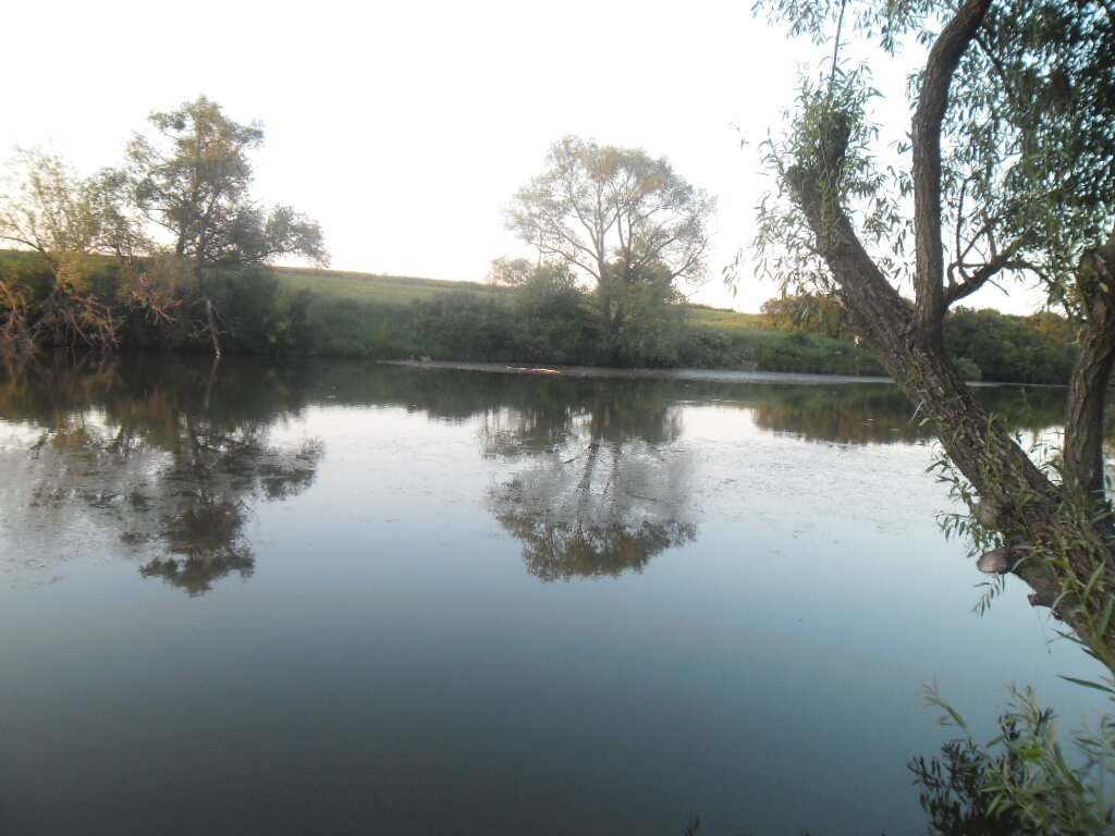 Конечно красиво, особенно для сына- рыболова )