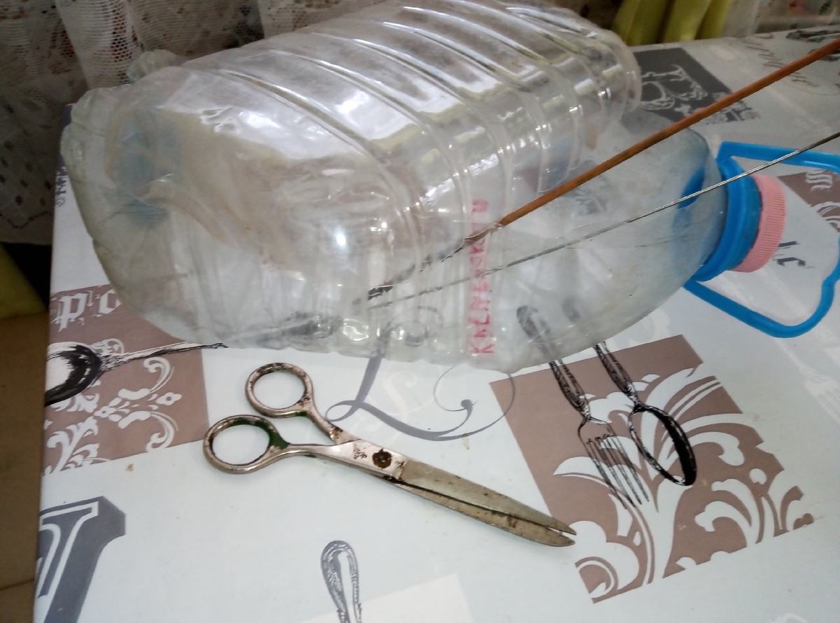 Детский сад для рассады