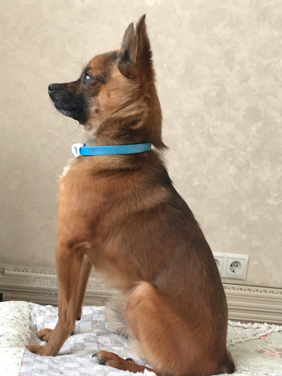 Никита сидя на кровати смотрит в окно, как летают птицы