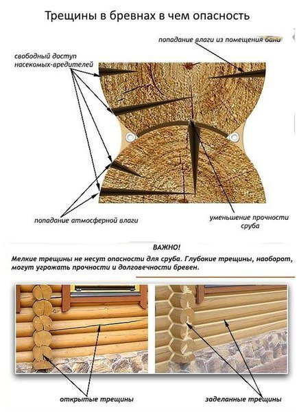 Трещины в бревнах (брусьях) сруба: способы профилактики и заделки древесных дефектов