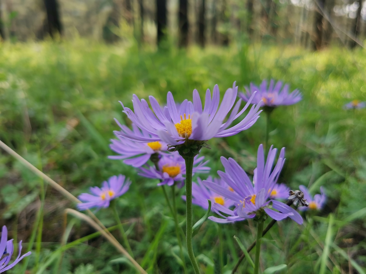 Вера и раньше не была особо близкой своей семье, а сейчас стала совсем чужой