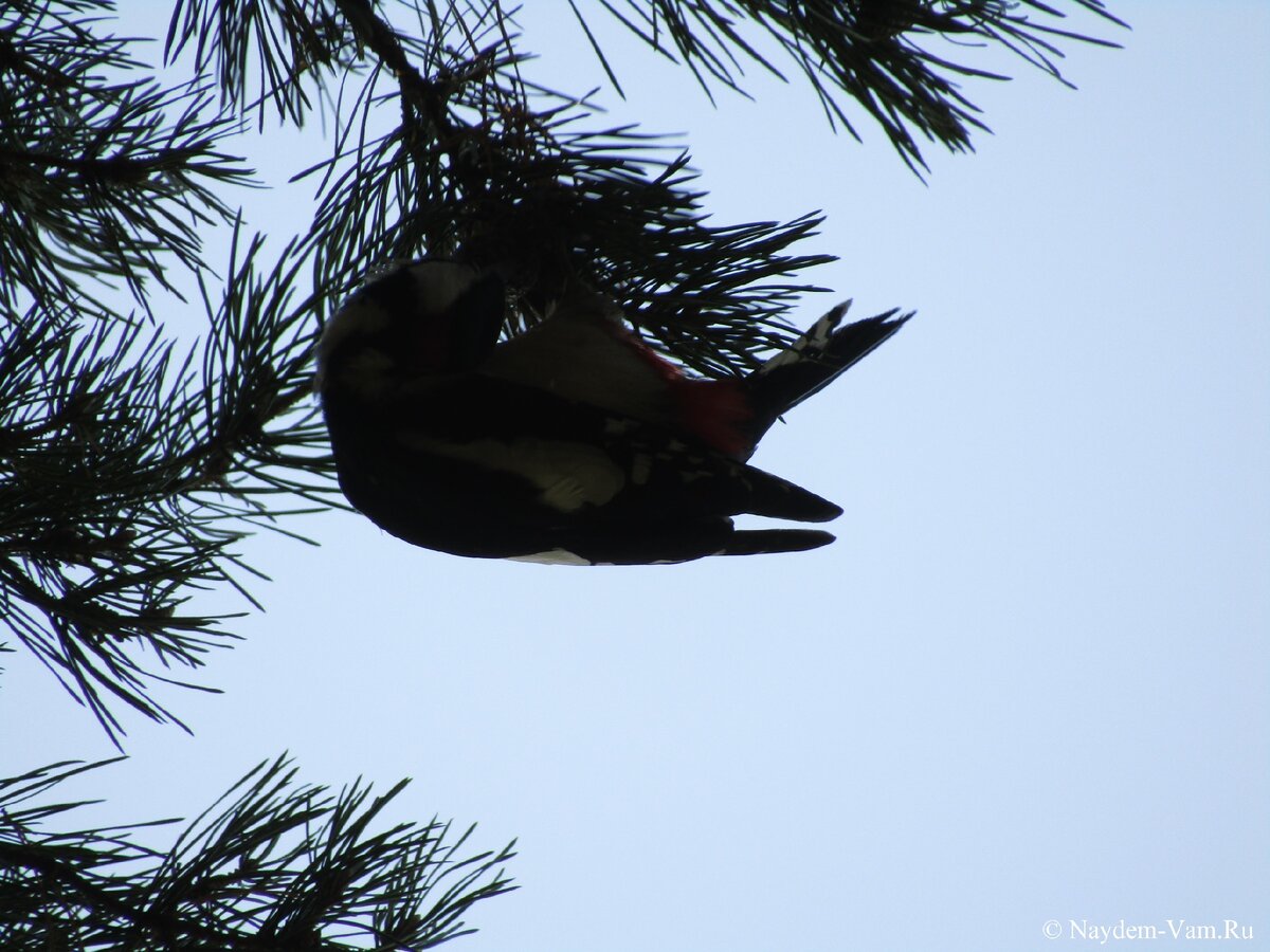 Ижевск. 28.09.20