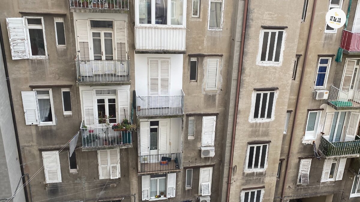 Подписывайтесь на канал! Вы поможете развитию Грации! Спасибо!