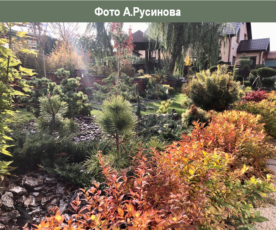 https://vk.com/album-119505417_274153356