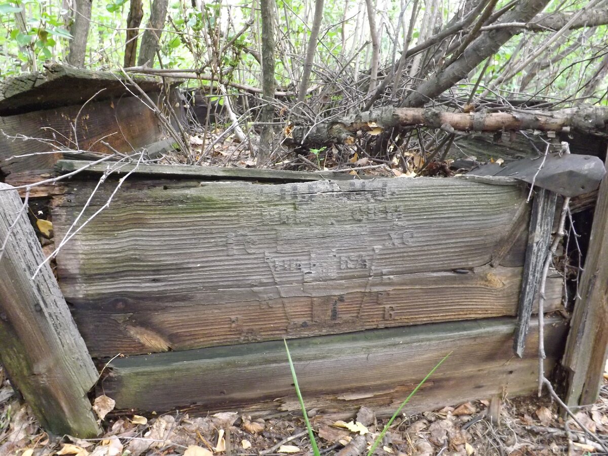 Домовина с изображением Голгофы, 2019