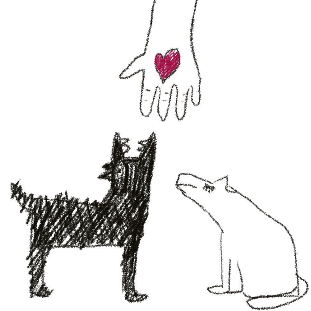 нужно дочитать до конца, чтобы понять полный смысл этой картинки