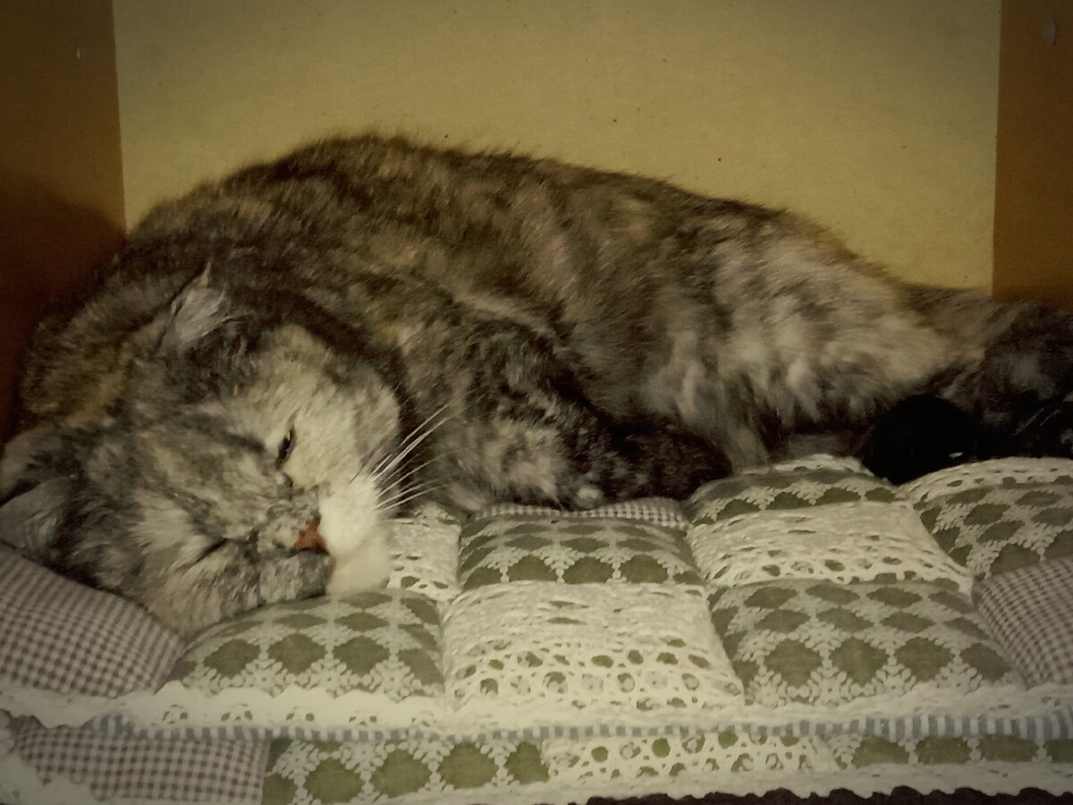 На ручках никто не подержит