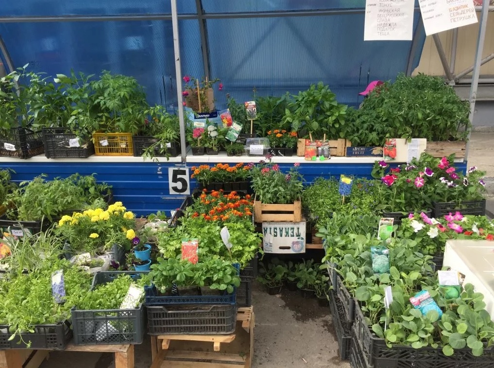 Источник Яндекс Картинки