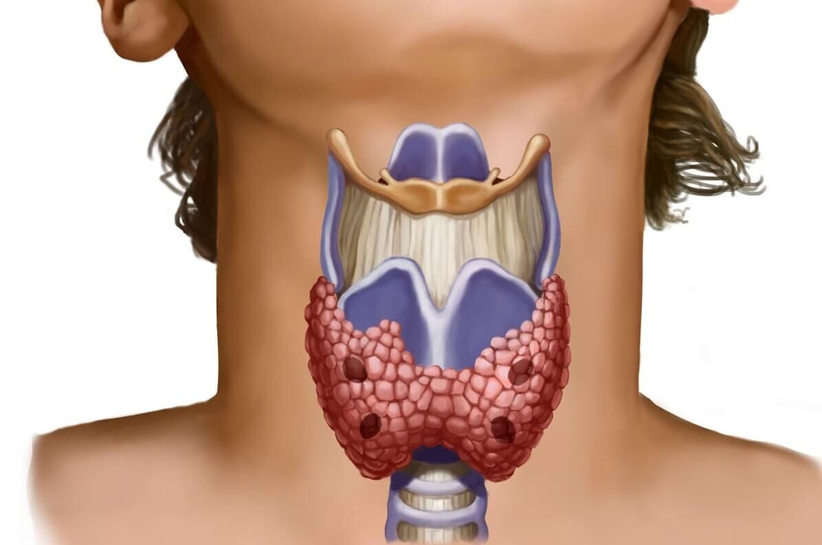 Здоровье 🍃