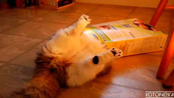 Источник: reddit.com