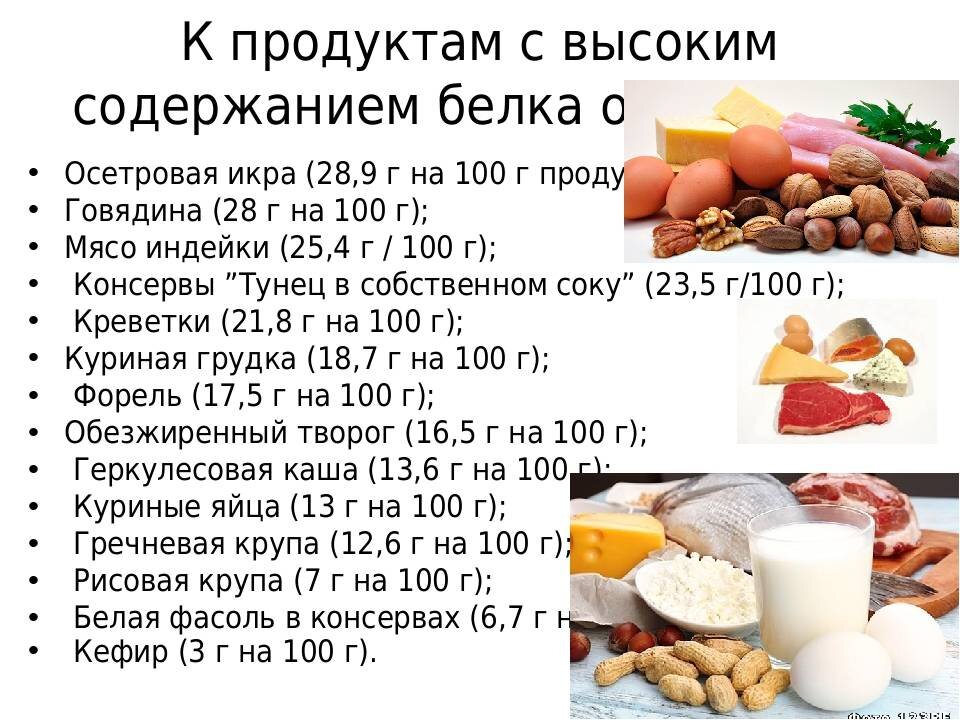 Самый белковый продукт на 100