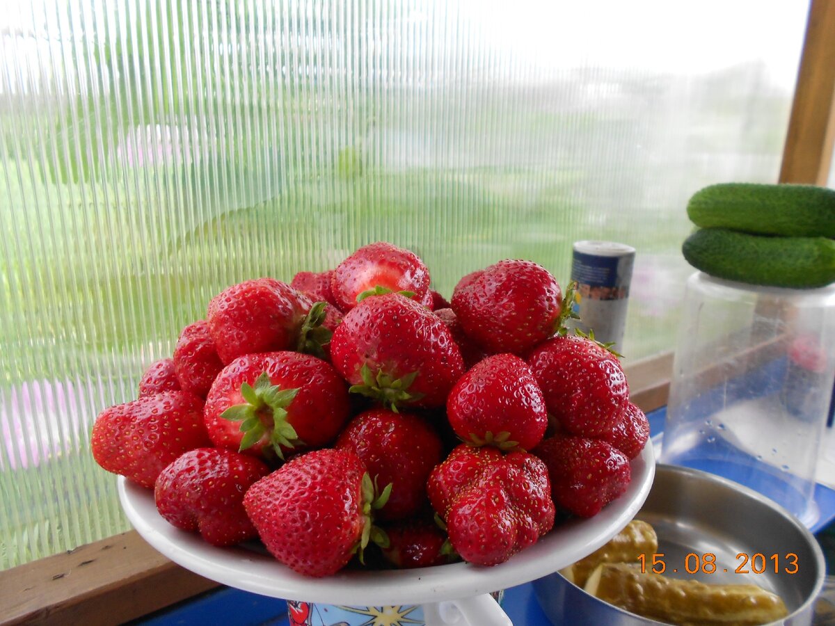 Ремонтантная клубника "Елизавета II"