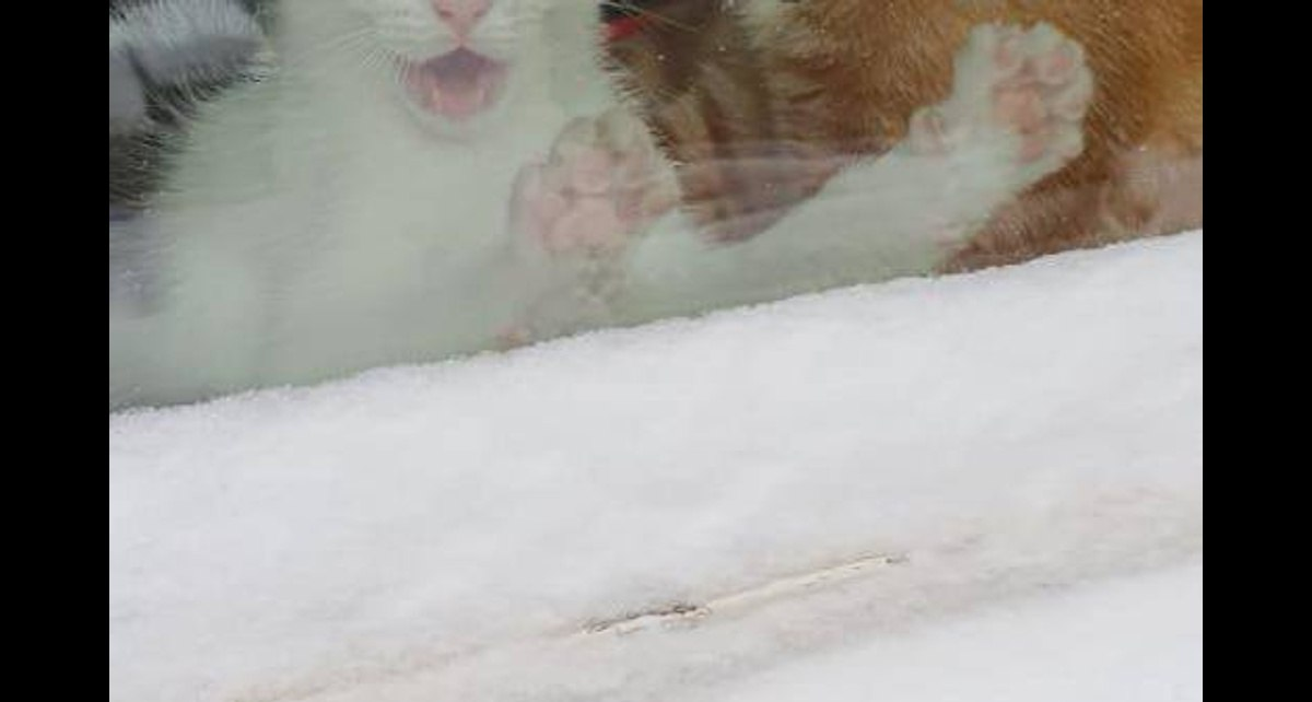 © Reddit / EnableSelf