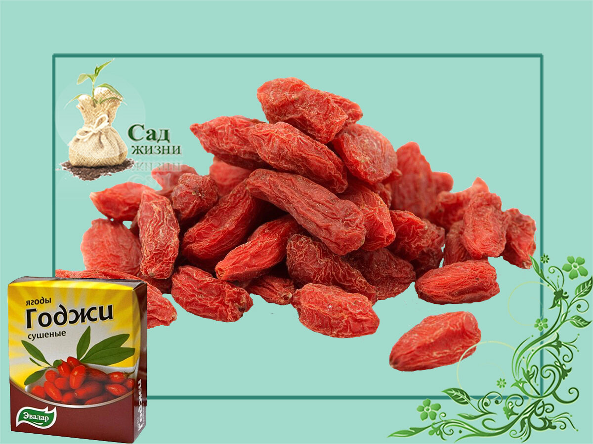 Годжи - совсем не чудо-ягода