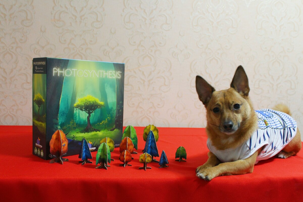 Я ежедневно принимаю участие в процессе фотосинтеза - забочусь об удобрении деревьев