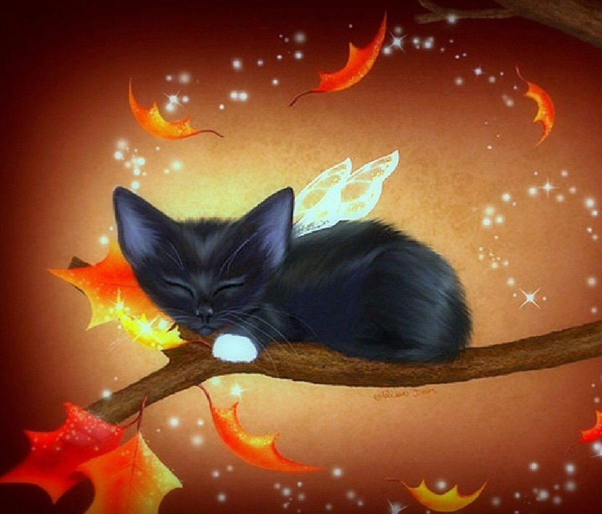 Сказочный черный кот. Коты фэнтези. Сказочная кошка. Волшебные коты. Магические котики.