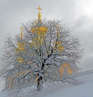 Фото взято из открытых источников