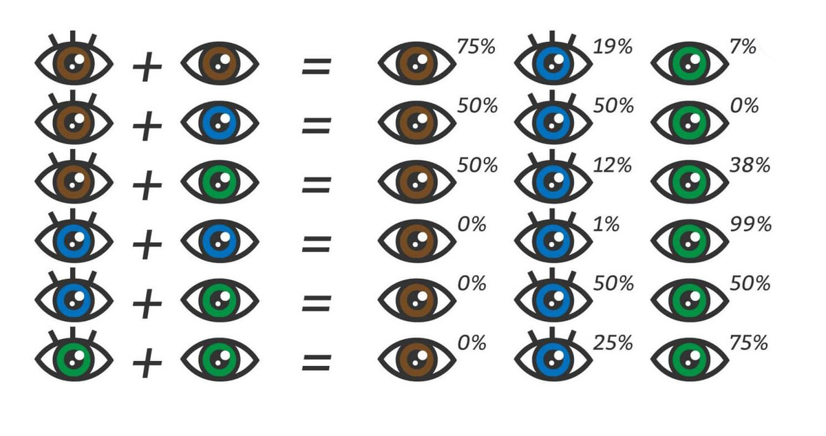 Источник изображения: https://2.bp.blogspot.com