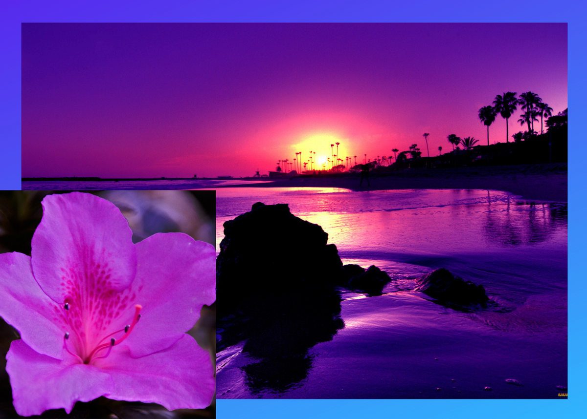 Коллаж составлен в Канва, лично. Фото из открытого источника Яндекс. 