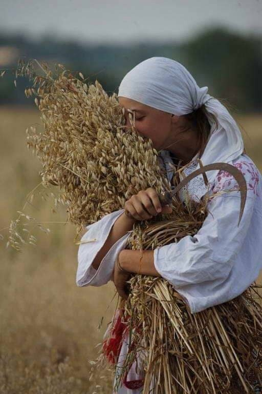 Рисунок как лучшая в селе жница зажинает первый сноп на поле