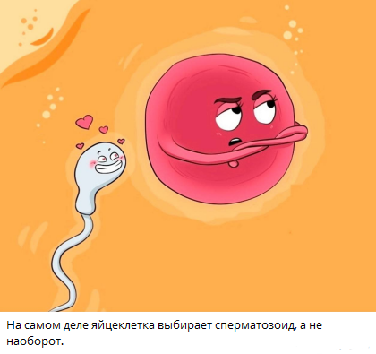 взято из открытых источников