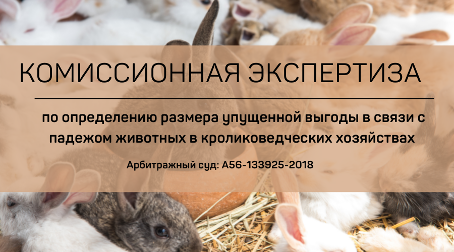 Комиссионная экспертиза по определению размера упущенной выгоды