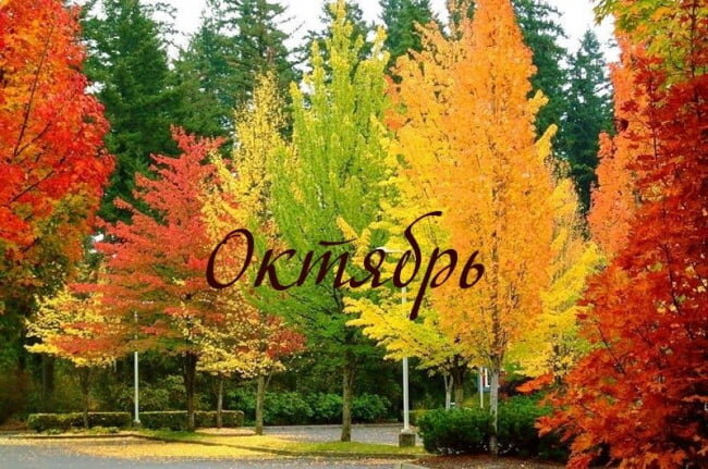 Изображение из сети