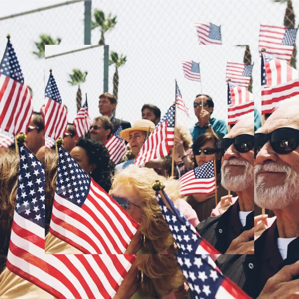 Коллаж сделан из фото взятых из открытых источников 