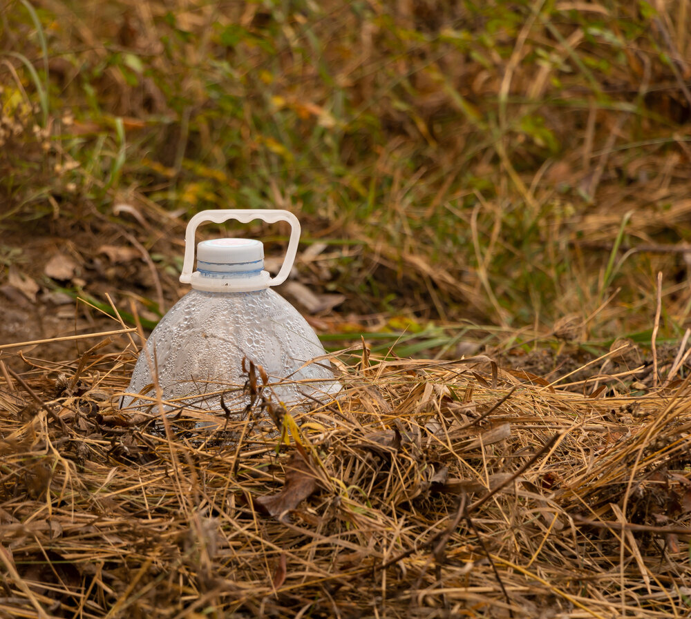 Укрытие роз. Иллюстрация для статьи используется по стандартной лицензии ©life-hacky.ru