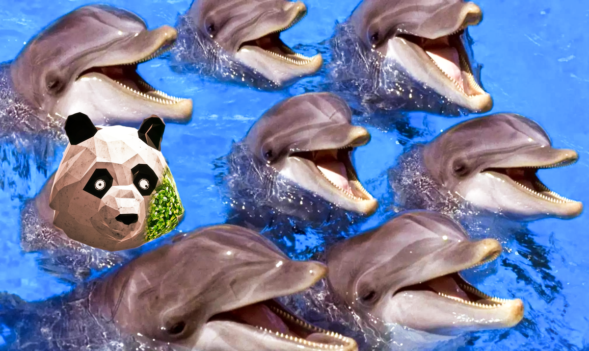 Дельфин (любой): -А он вообще наш?