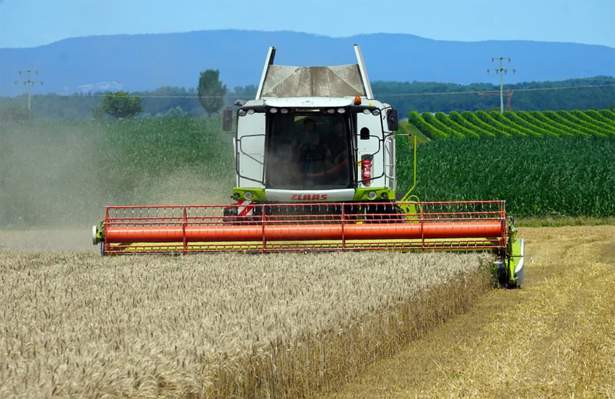 Фото pixabay.com