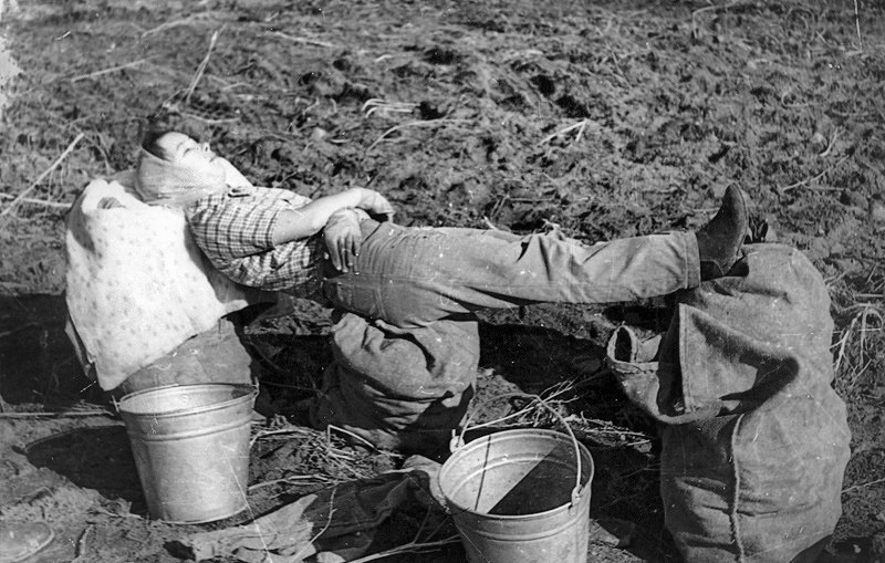 На картошке