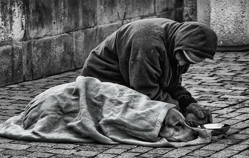 Фото взято из открытых источников