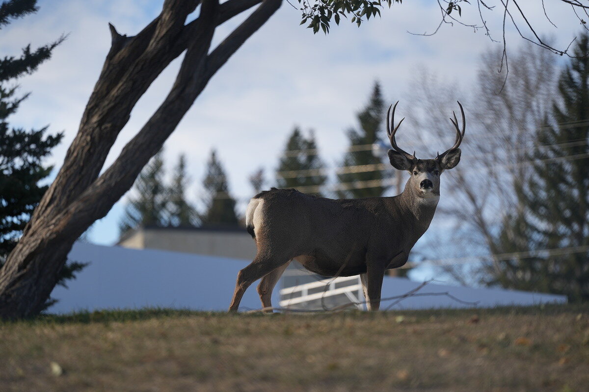 Источник: dpreview.com