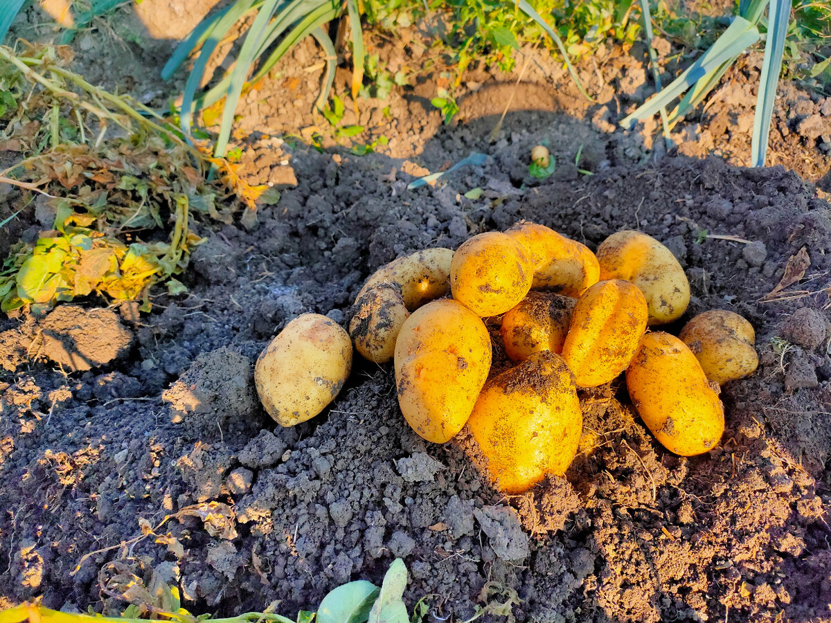 Фотография сделана автором канала 