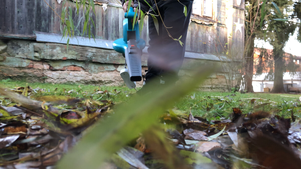 Фото автора. Воздуходувкой уборку газона можно сделать быстро и эффективно